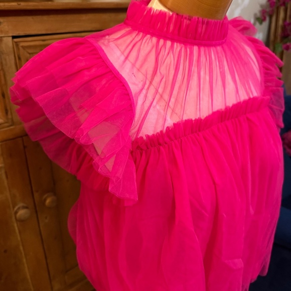 Anthropologie Sunday in Brooklyn Vibrant Pink Ruffled mesh Top - Picture 5 of 9